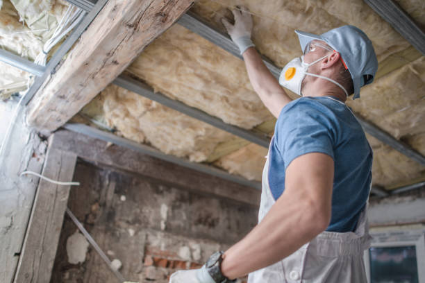 Best Types of Insulation in Bowling Green, KY